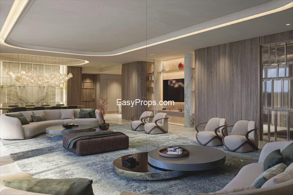 fs (3)_20250305130245805.jpg